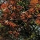 와인치과의원 이미지