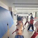 글로벌아이 태권도장 | 🥋 향남 글로벌태권도 승급심사 후기 &amp; 태권도를 꼭 배워야 하는 이유