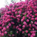 협성경복중학교 이미지