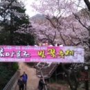 꽃마을로4 이미지