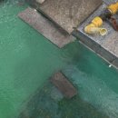 24시수도설비 이미지