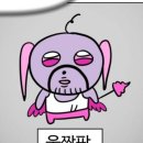 마루컴퍼니 이미지