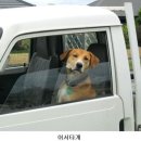 어서타개 이미지