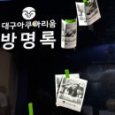 푸른옥아파트 | 대구 아쿠아리움 후기｜주차팁·할인예매·인기체험까지 아이와 다녀온 솔직후기