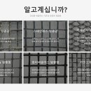 시즌창