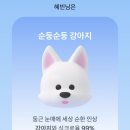 투잡파파 | 8월 18일 - 24일 일상