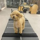 일레븐 PT&필라테스 이미지