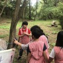 고달초등학교 이미지