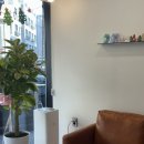 네일12월 | 마석 네일 무궁네일 겨울아트 12월 이달의아트 후기