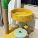 꽁냥꽁냥캣 이미지