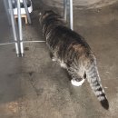 (주)서오지리꽃빛향 | 🐈 3월의 시작 💚