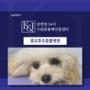 광교호수 동물병원 | 광교호수동물병원 상완골 원위부 골절 치료 사례