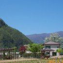 정선농장 이미지