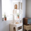 댕이멍이 이미지