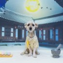뚜져