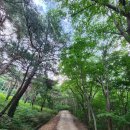 아미산모텔 이미지