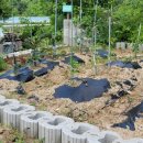 상상농장 이미지