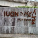 동광리-14 이미지