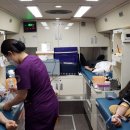 산림조합 앞 이미지