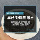 70 | 부산 사무실 카페트청소｜공기부터 달라지는 현장 후기