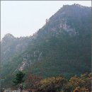 벌재농장 이미지