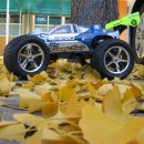 하양초등학교 이미지