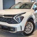 포인트모터스 이미지