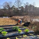 짱구2농장 이미지