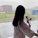 파니에플레르