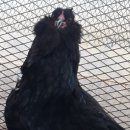 현성농장 이미지