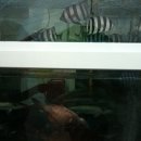 파도횟집 이미지