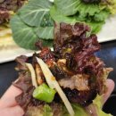 권셰프우렁각시장어총각 이미지