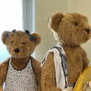 머큐어 앰배서더 제주 이미지