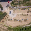 우리집 강아지 이미지