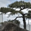 청도읍성 바깥쪽 | 청도읍성