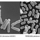(주)메디오젠 이미지