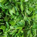 부지깽이 이미지