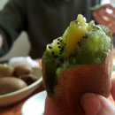 진공농장 이미지