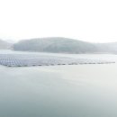 원 태양광발전소 이미지