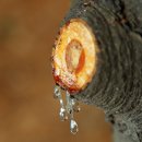 21세기 세차장 이미지