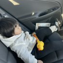 태현목장 이미지