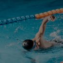 에프스포렉스 이미지