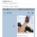 따봉PC방 이미지