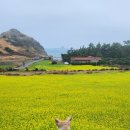 스테이모슬 이미지