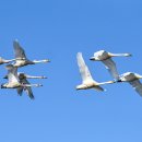 경안천 4 이미지