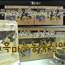 실버유통사업단 | [의성흑마늘농장] 우리집 건강은 흑마늘농축진액으로 지켜요!
