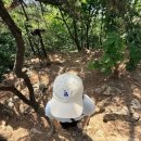 장쟁이쌈선생 | 광교산 등산 후 죄책감 없이 먹는 삼겹살 맛집 '장쟁이쌈선생 광교산점' 솔직 후기