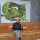 오남 양오초 이미지