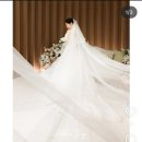 아델라인 | 아델라인스냅 계약 후기 : 더채플앳청담 커티지홀 내돈내산