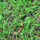 연합안경 이미지